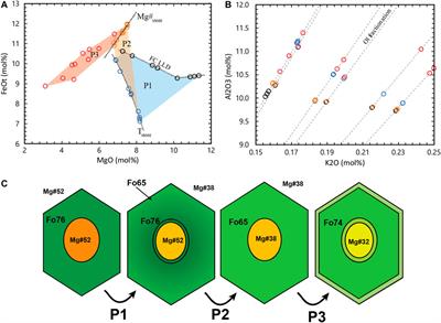 MushPEC: Correcting Post-entrapment Processes Affecting Melt Inclusions Hosted in Olivine Antecrysts